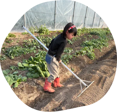 ハウスで野菜の世話をする娘