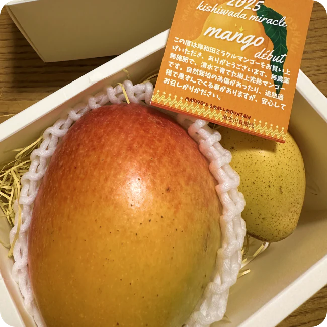 マンゴー